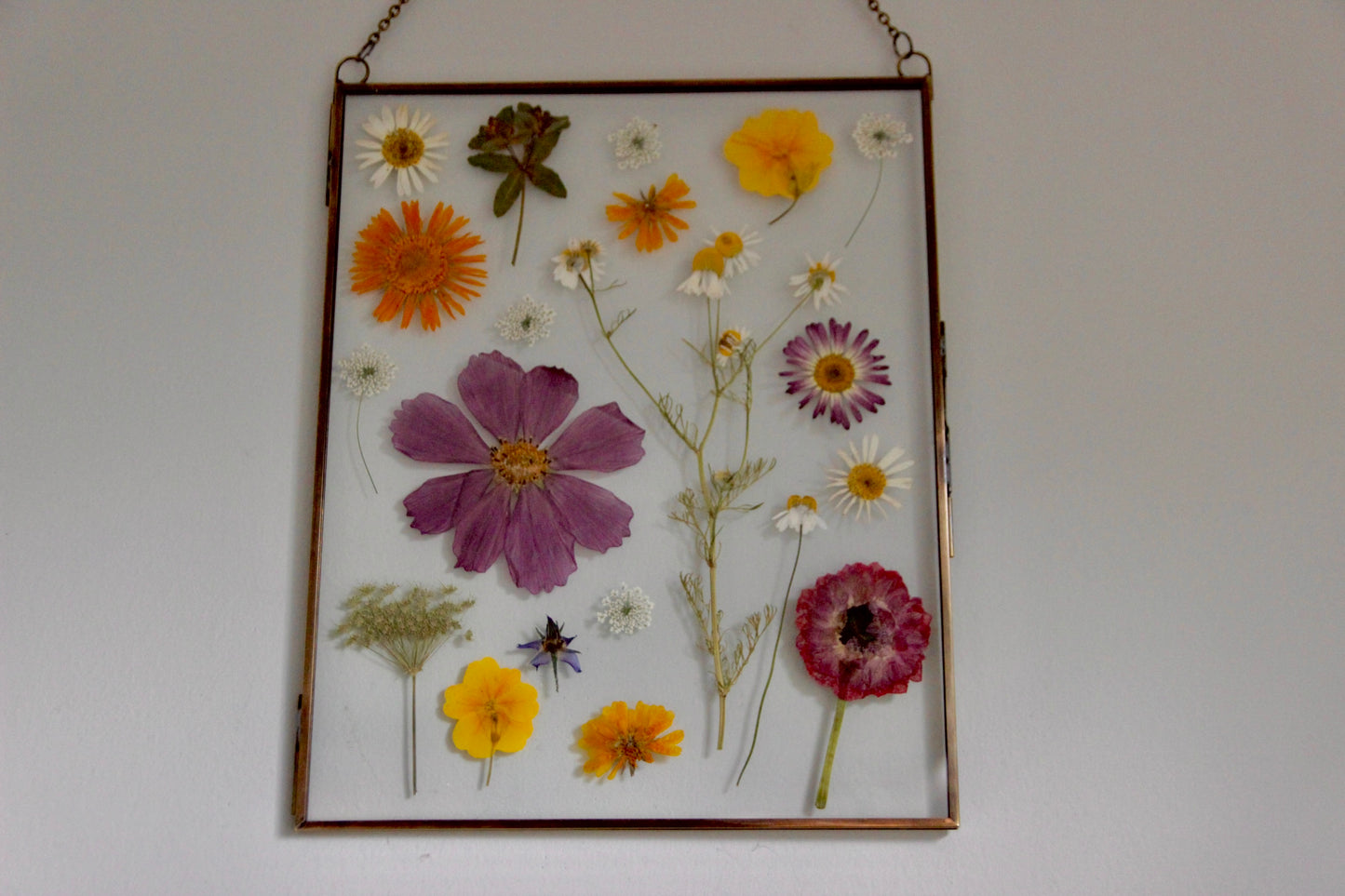 Pressed Flower Art in Large Glass Frame, 8"x10"