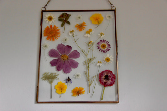 Pressed Flower Art in Large Glass Frame, 8"x10"