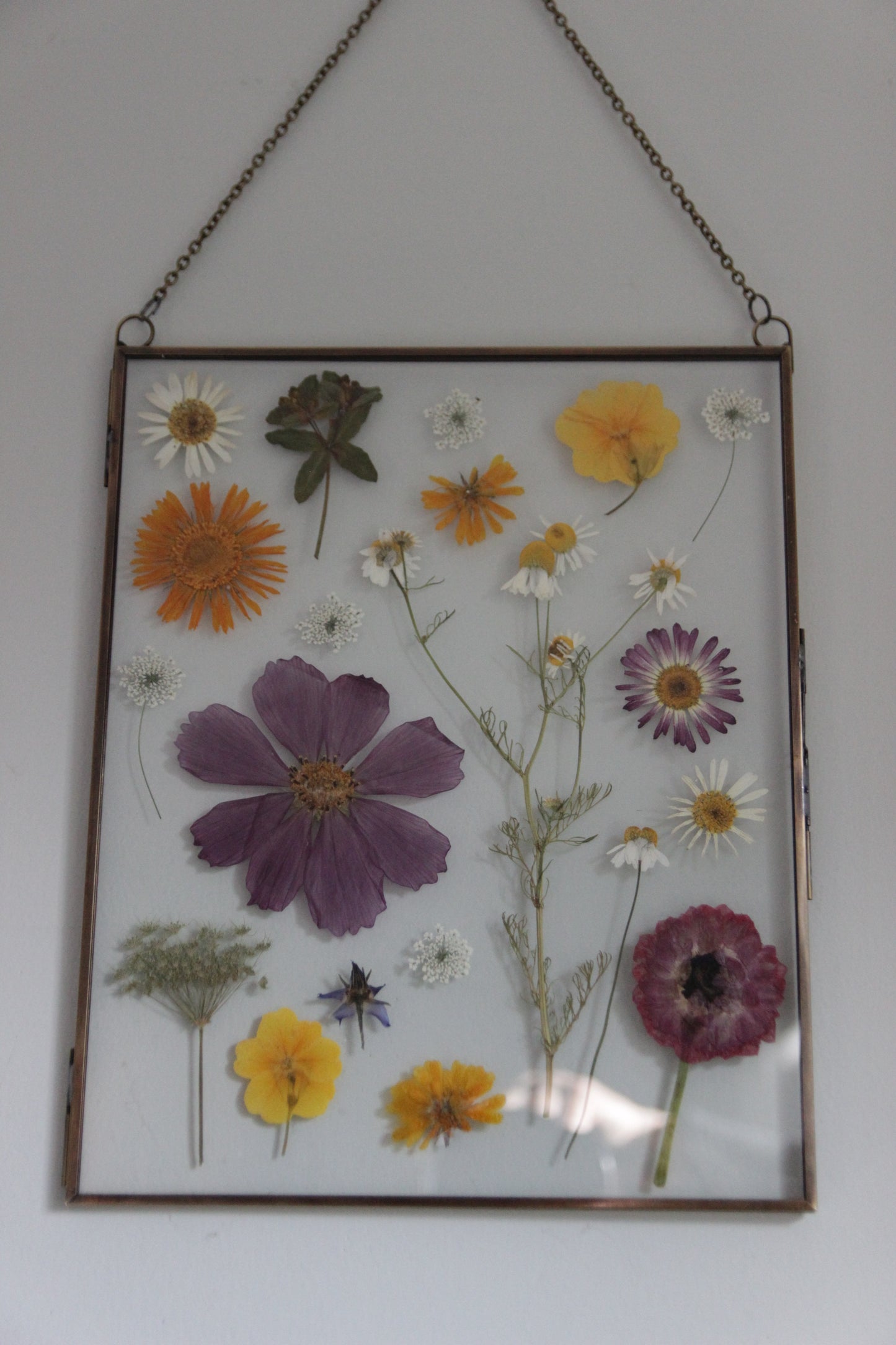 Pressed Flower Art in Large Glass Frame, 8"x10"
