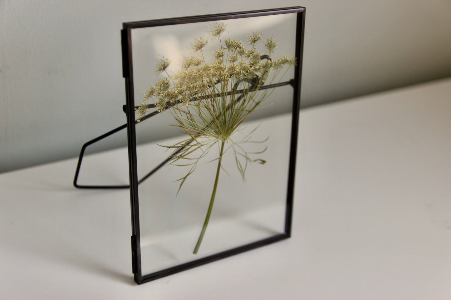 Pressed Dill Flower in Black Frame, 5x7
