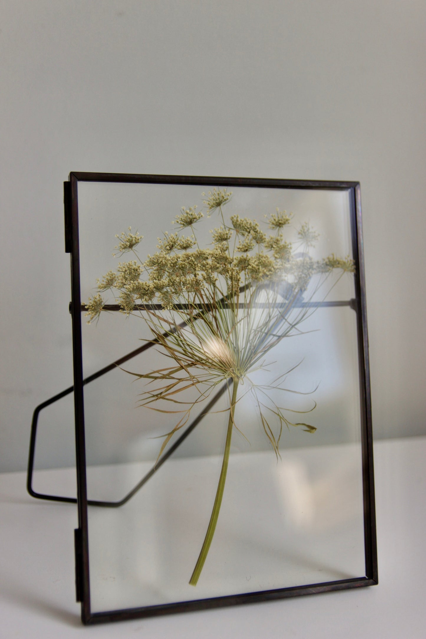 Pressed Dill Flower in Black Frame, 5x7