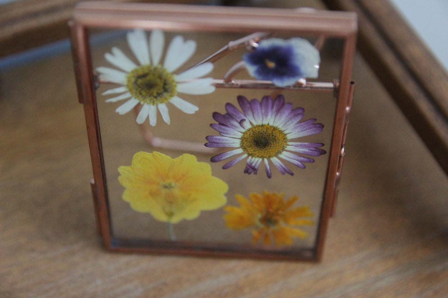 Real Pressed Flowers, Rose Gold Frame, 3"x4"