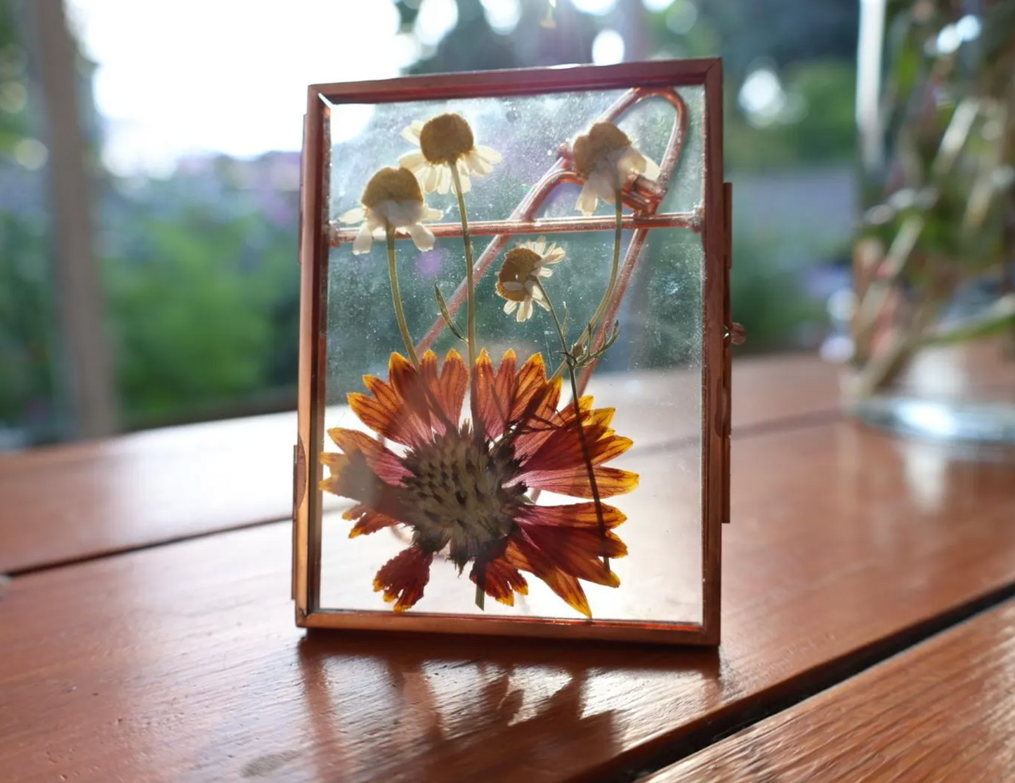 Pressed Flower Art in Small Frame with Chamomile and Coreopsis, in Rose Gold Frame, 3 inch x 4 inch