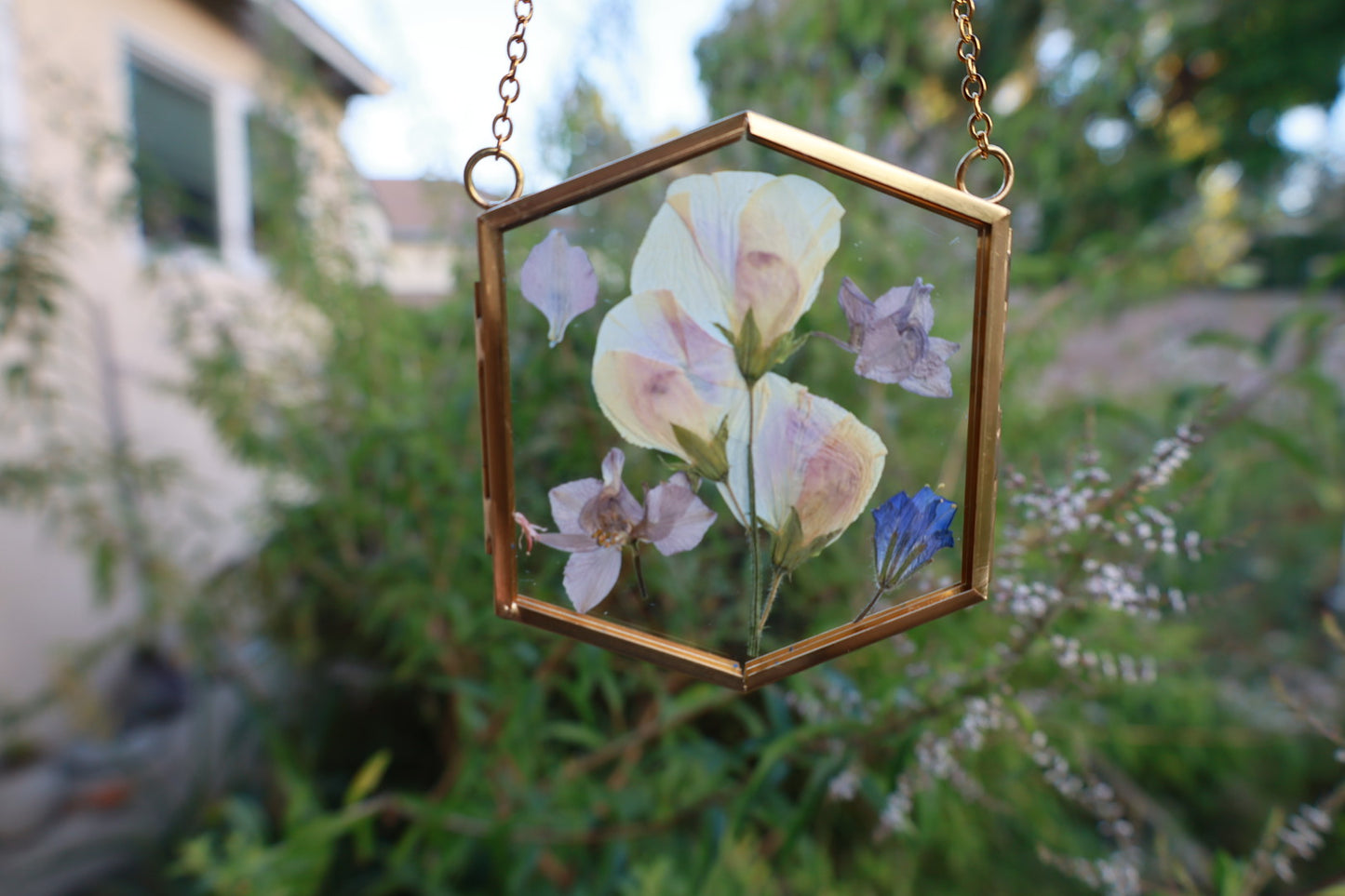 Pressed Flowers in Frame, 2”x3” Gold Hexagon