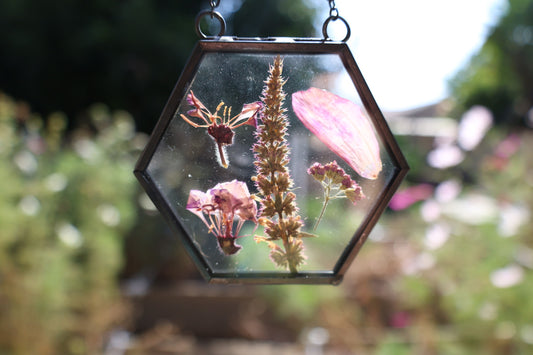 Pressed Flowers in Frame, Hexagon, Black, 2”x2”