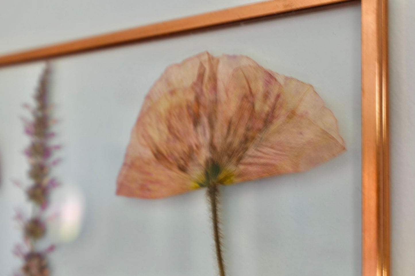 Pressed Flower Frame, Rose Gold, 8"x10"