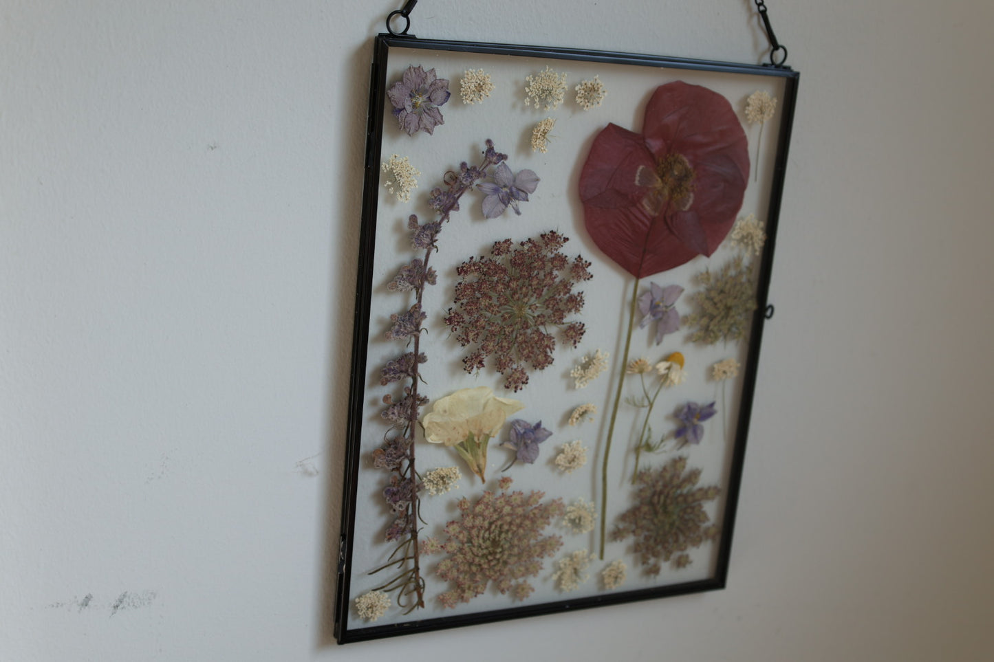 Large Pressed Flower Frame in Black Frame, 8x10