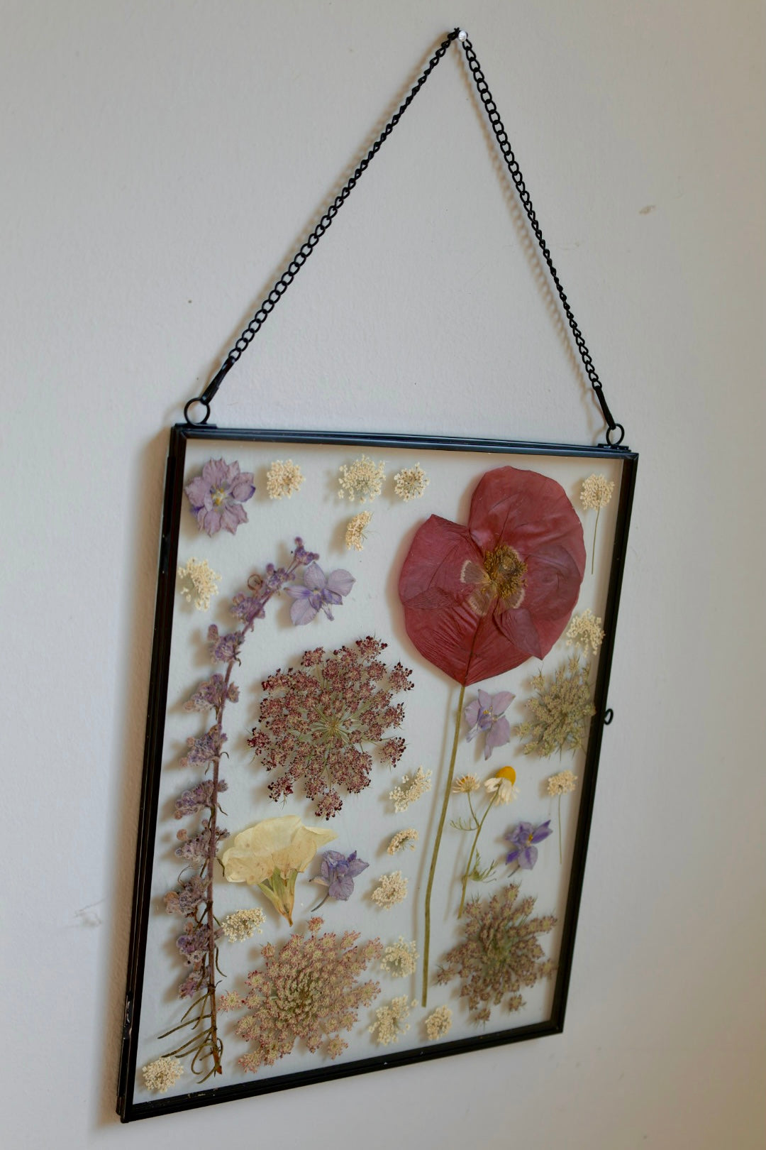 Large Pressed Flower Frame in Black Frame, 8x10