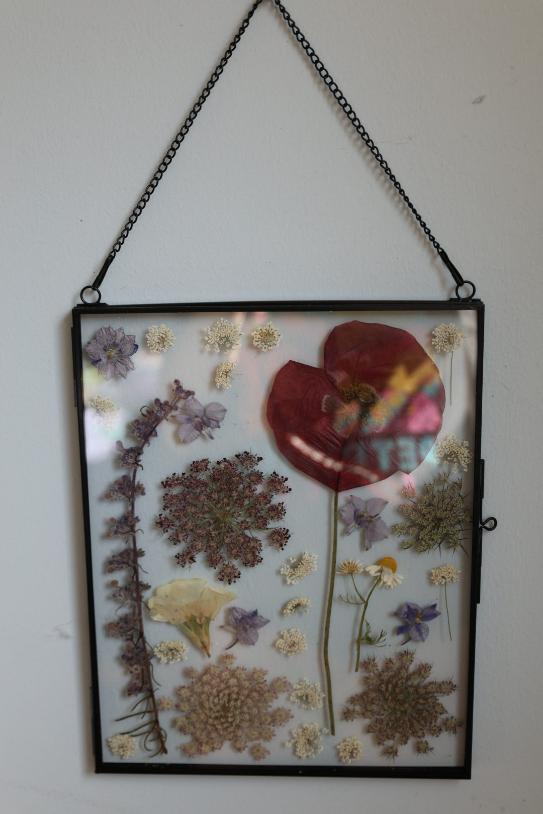 Large Pressed Flower Frame in Black Frame, 8x10