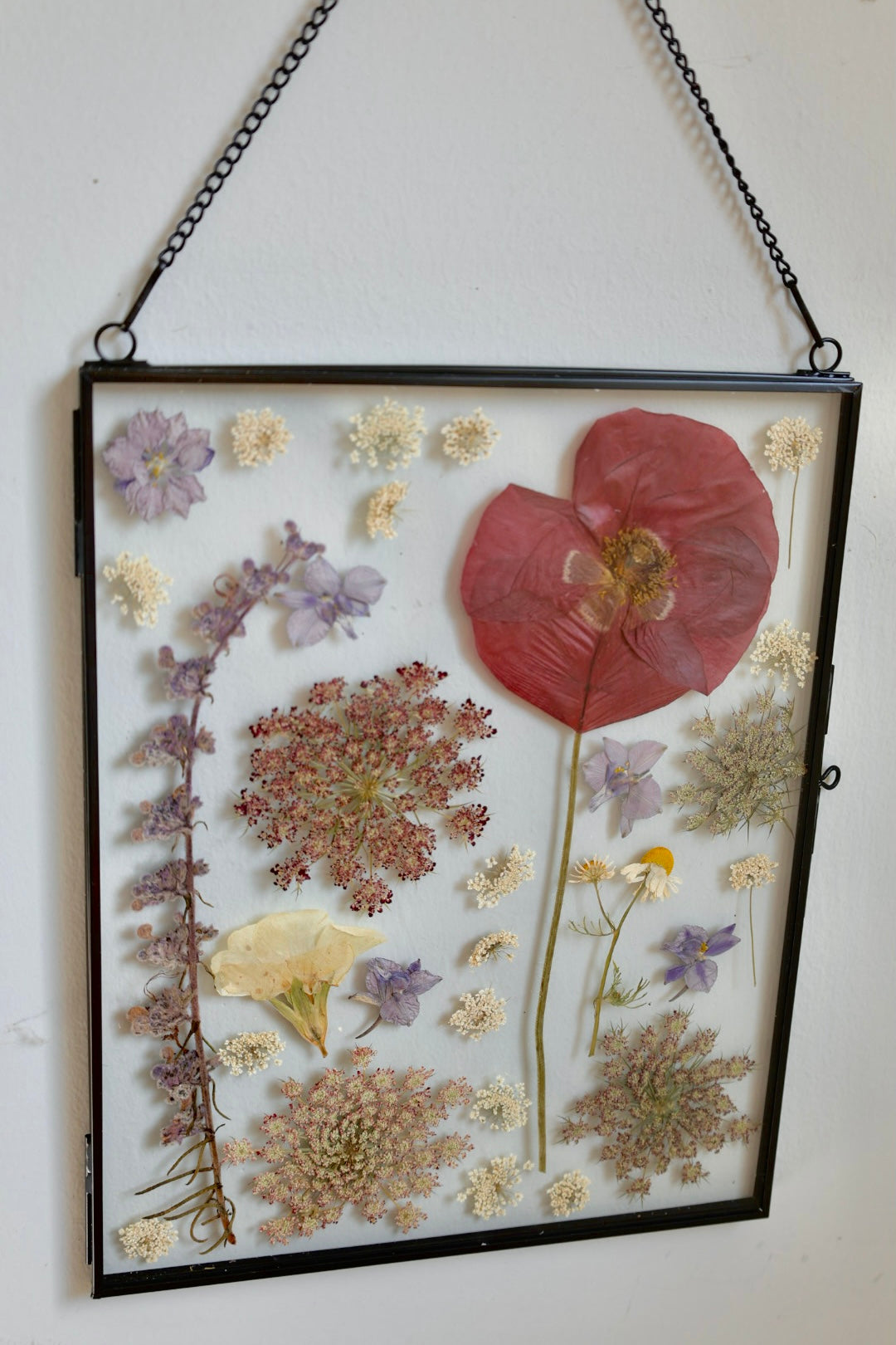Large Pressed Flower Frame in Black Frame, 8x10
