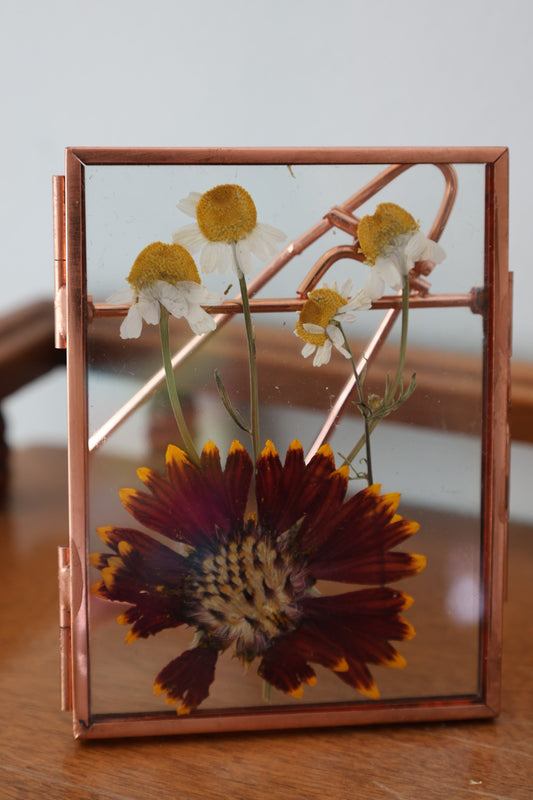 Pressed Flower Art in Small Frame with Chamomile and Coreopsis, in Rose Gold Frame, 3 inch x 4 inch