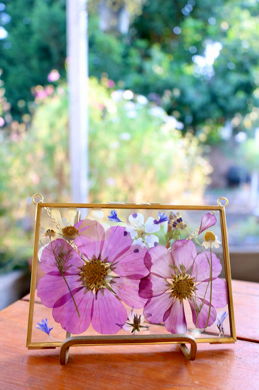Pressed Floral Art in Gold Frame with Pressed Cosmo Flowers, 4"x6"