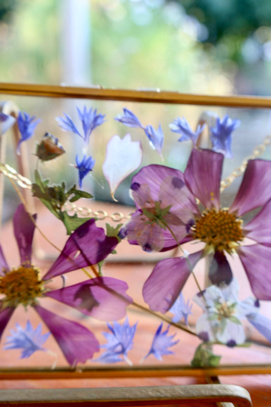 Pressed Pink Cosmo Flowers in Gold Frame, 4"x6"