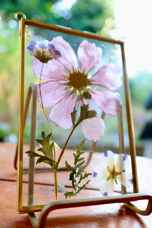 Pressed Flower Art in Gold Frame with Cosmos and California Native Flowers, 4"x6"