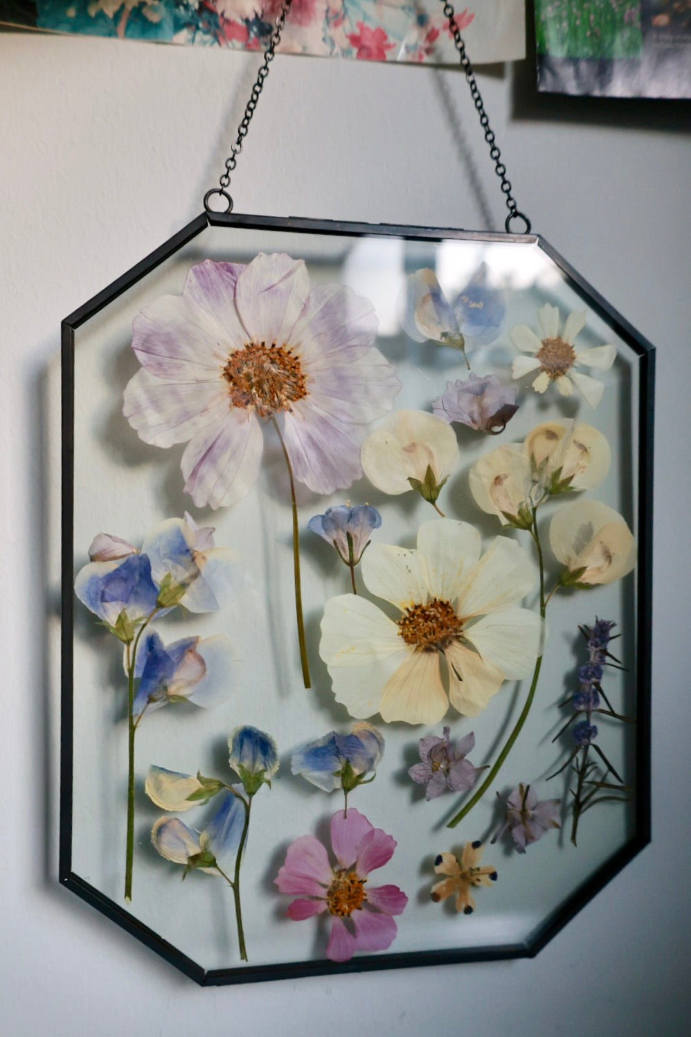 Pressed Flower Art, 8x10, Black, Octagon