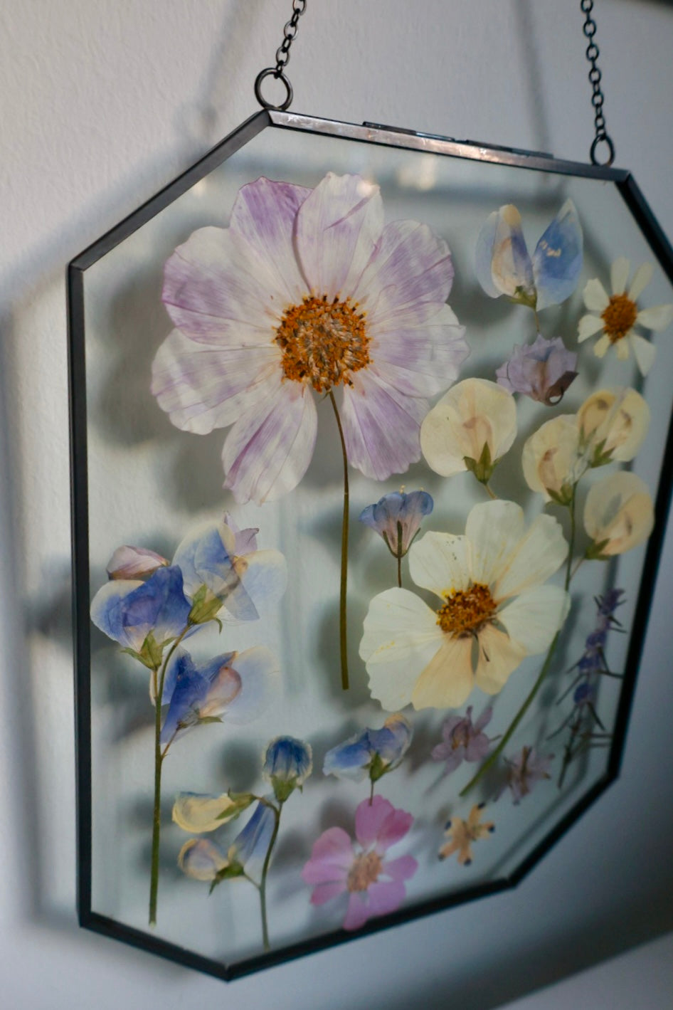 Pressed Flower Art, 8x10, Black, Octagon