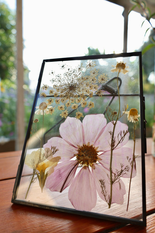 Framed Pressed Flower, 5”x7”