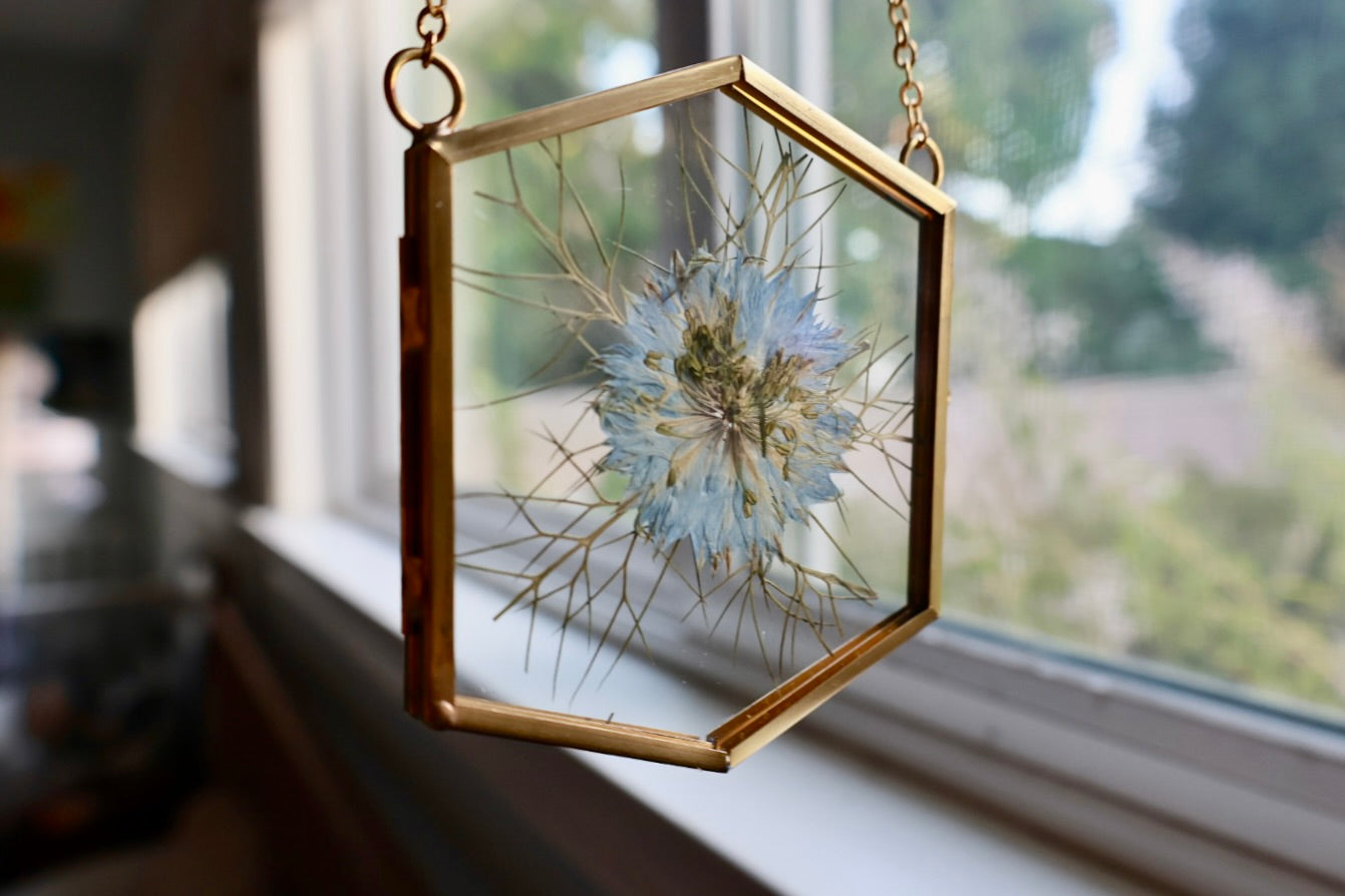 Pressed Nigella Flower in Frame, 2”x3” Gold Hexagon