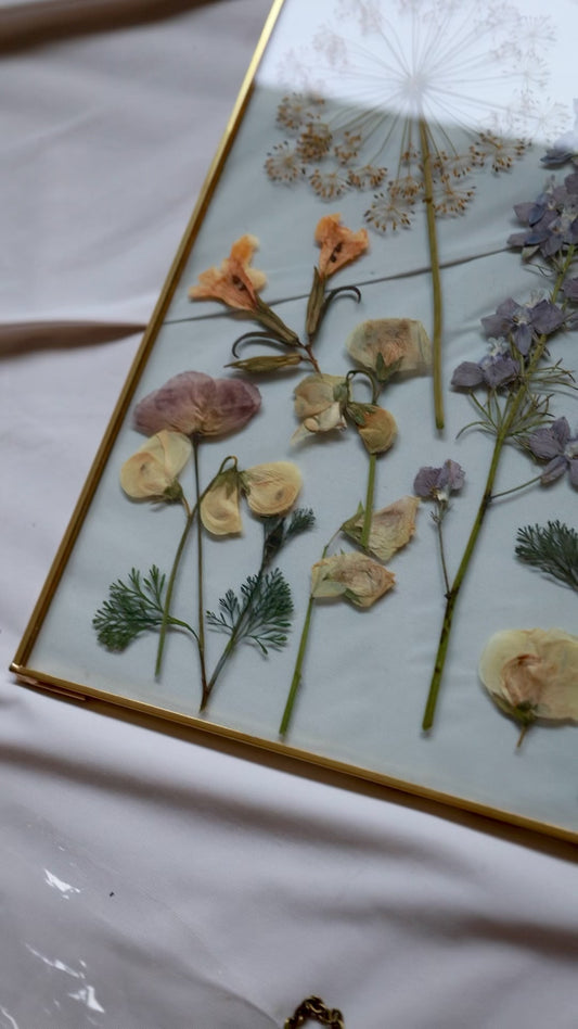 Real Botanical Art, Gold Frame, 14”x11”